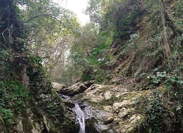 tunisia/the-tell/attraction/beni-mtir-waterfalls