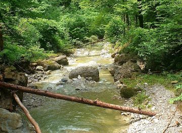 austria/bregenzerwald/attraction/wasserfall-alberschwende