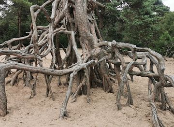 netherlands/west-friesland/attraction/panbos-utrechtslandschap