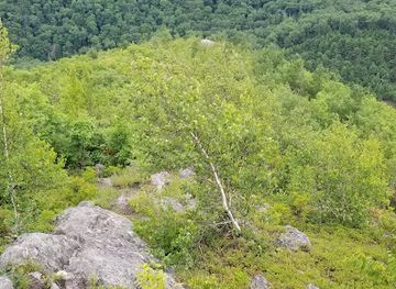 massachusetts/mohawk-trail-state-forest/attraction/negus-mountain-trailhead