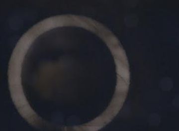 united-kingdom/windsor/attraction/phonox