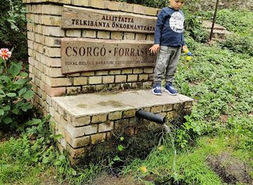 hungary/zemplen-mountains/attraction/csorgo-forras