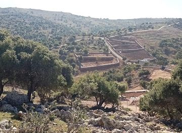 jordan/ajloun-castle/attraction/samta-waafna