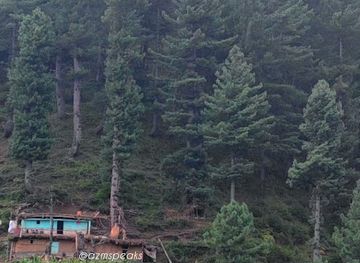 pakistan/kaghan/attraction/magri-meadows-bhoonja-valley