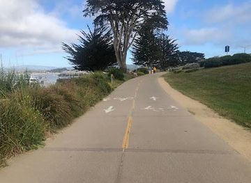 california/carmel-by-the-sea/attraction/monterey-bay-recreation-trail-north-north-west-seal-lions