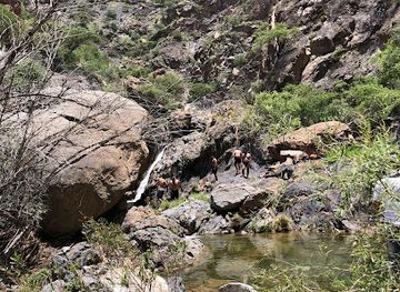 oman/jebel-akhdar/attraction/campaign-area-al-jabil-al-akhdhar