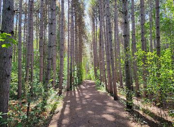 canada/ottawa-valley/attraction/pinhey-forest
