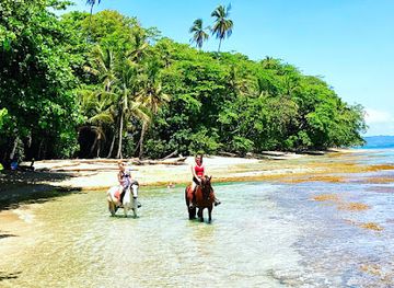 costa-rica/limon/attraction/caribe-horse-riding-club