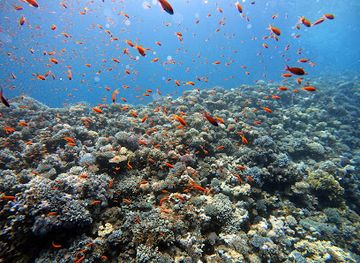 israel/red-sea-coral-reef/attraction/blue-hole-of-dahab