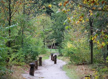 netherlands/sallandse-heuvelrug-national-park/attraction/speelbos-sallandse-heuvelrug