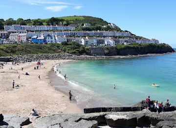 united-kingdom/dyfed/attraction/cardigan-bay-marine-wildlife-centre