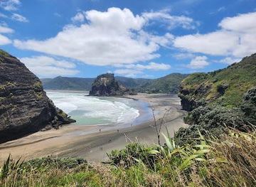 new-zealand/auckland/attraction/piha-beach