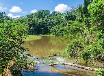 bolivia/santa-cruz-lowlands/attraction/parque-nacional-madidi