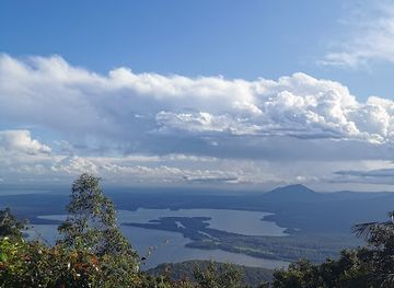 australia/mid-north-coast/attraction/rainforest-loop