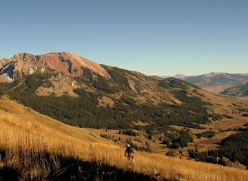 colorado/crested-butte/attraction/gothic-natural-area