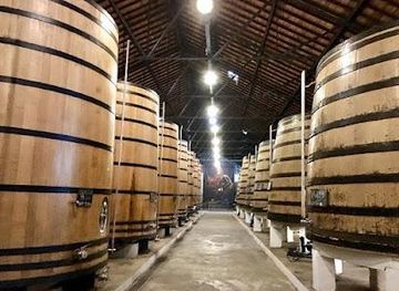 portugal/guimaraes/attraction/real-companhia-velha