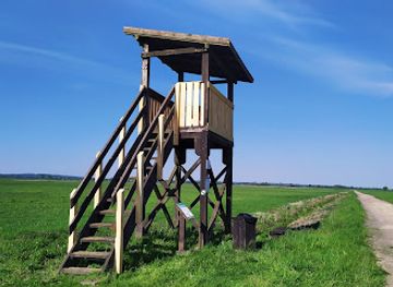 poland/warta-mouth-national-park/attraction/wieza-widokowa