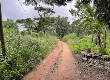 togo/mount-agou-area/attraction/kouma-konda