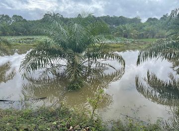 thailand/trang/attraction/koh-rup-prathet-thai