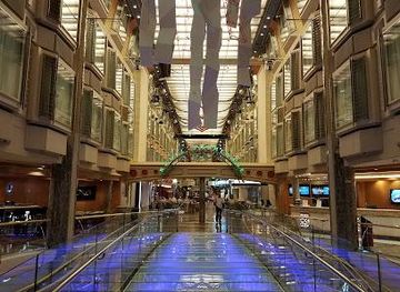 texas/galveston/attraction/royal-caribbean-international-cruise-terminal-10