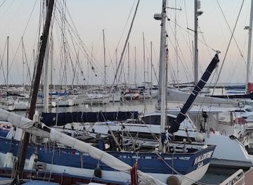 france/camargue/attraction/golfe-de-l-homme-oiseau-rdv-des-beaux-yachts-a-port-camargue