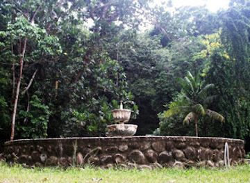 solomon-islands/tulagi/attraction/honiara-botanical-gardens