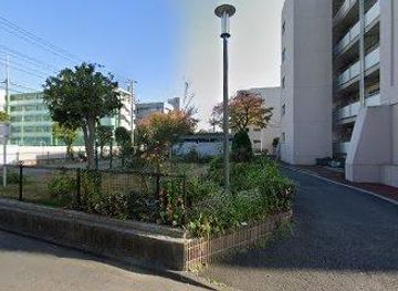 japan/tokyo/attraction/park