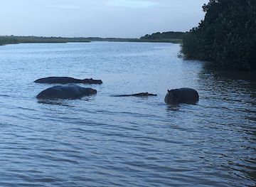 south-africa/elephant-coast/attraction/st-lucia-birds-birding