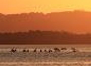 australia/byron-bay/attraction/ballina-river-cruises