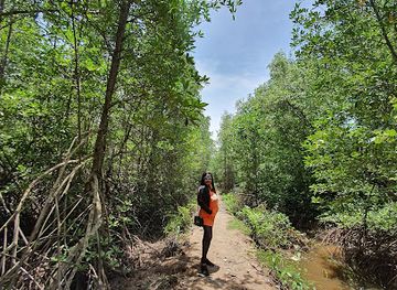 cambodia/kep-province/attraction/mangrove-protected-forest