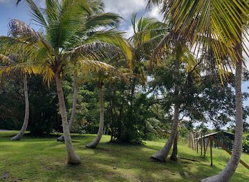 barbados/welchman-hall-gully/attraction/grenade-hall-forest-signal-station
