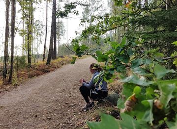 sweden/varmland/attraction/i2-skogen-parkering-och-entre