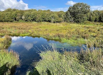 ireland/county-galway/attraction/burren-nature-sanctuary-botanical-collection
