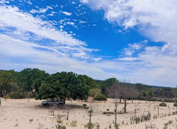 madagascar/ifaty/attraction/plage-de-madiorano