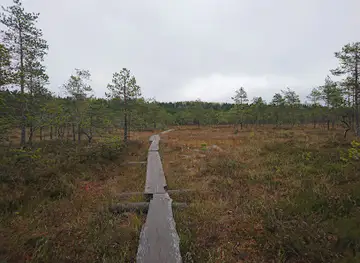 Linnaistensuo naturskyddsområde