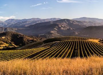 california/salinas-valley/attraction/holman-ranch