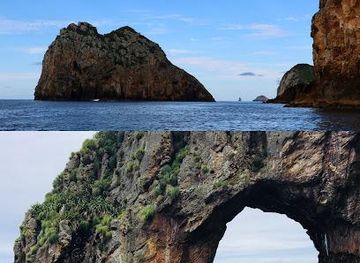 new-zealand/whangarei/attraction/the-poor-knights