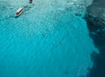 palau/ngemelis/attraction/shark-city
