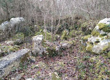 france/poitou-charentes/attraction/dolmen-du-bois-de-la-grosse-pierre