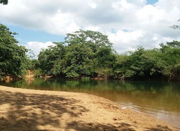 belize/crooked-tree-wildlife-sanctuary/attraction/monkey-bay-wildlife-sanctuary