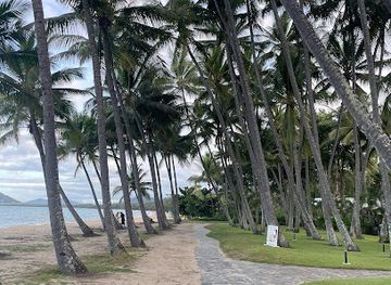 australia/cairns/palm-cove/attraction/palm-tree-tunnel