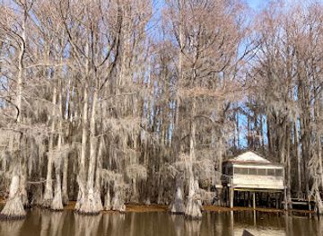 louisiana/caddo-lake-state-park/attraction/caddo-lake-bayou-tours