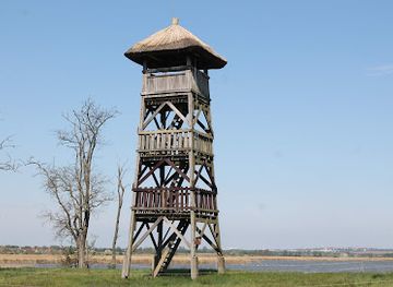hungary/ferto-region/attraction/velence-and-dinnyes-nature-conservation-area
