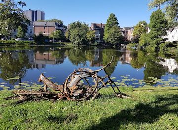 netherlands/rijnmond/attraction/arboretum-trompenburg