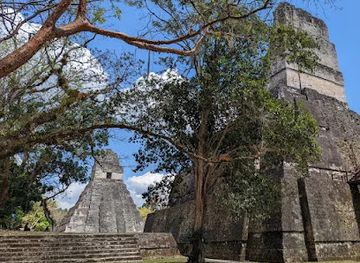 guatemala/peten/attraction/tikal-go-tours