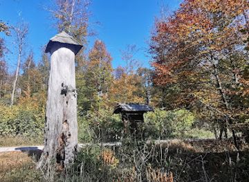 slovenia/postojna/attraction/melliwova-jelka