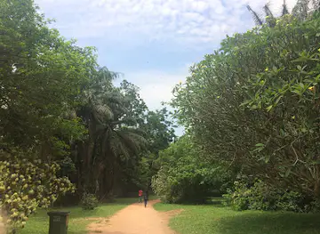 KNUST Botanical Garden