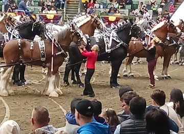 massachusetts/hampden-county/attraction/big-e-coliseum