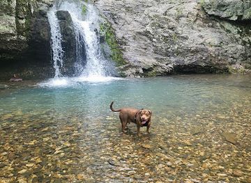 arkansas/southwest-arkansas/attraction/lake-catherine-state-park