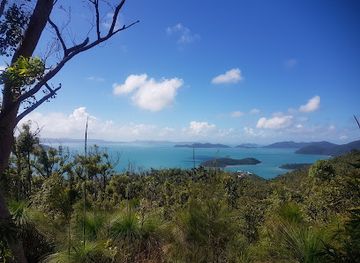 australia/airlie-beach/attraction/conway-conservation-park